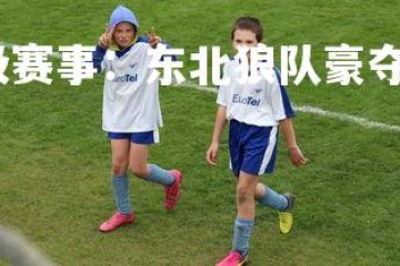 乐鱼体育登录-顶级赛事：东北狼队豪夺三分，中国东北狼属于什么品种