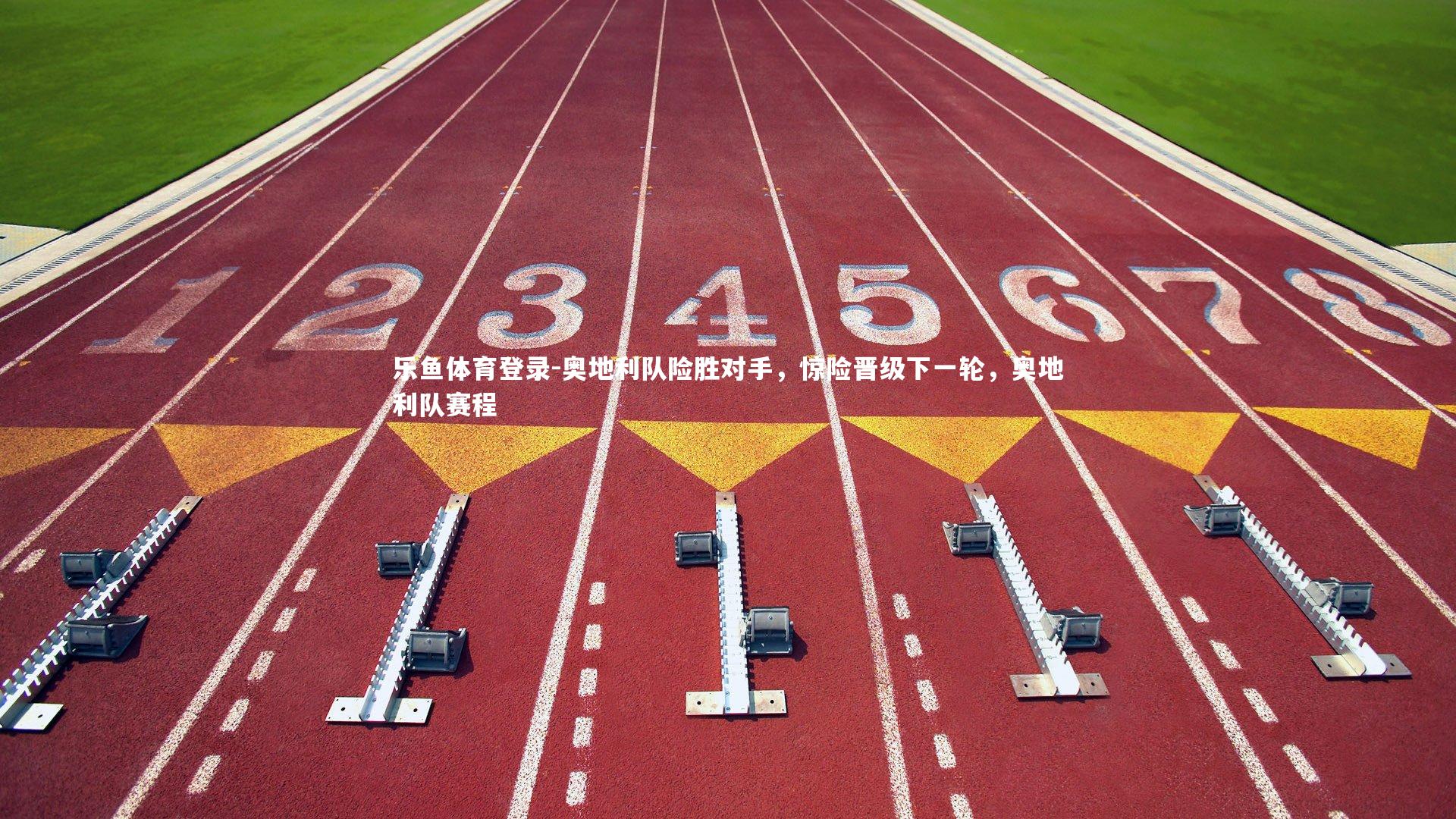 奥地利队险胜对手,惊险晋级下一轮,奥地利队赛程