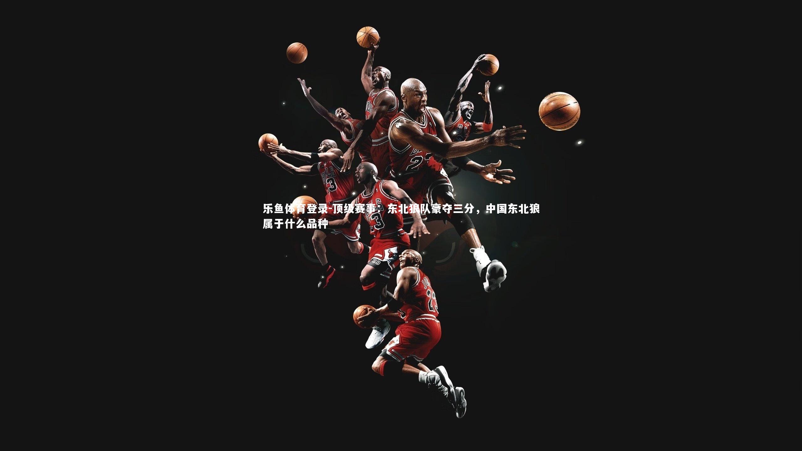 顶级赛事：东北狼队豪夺三分，中国东北狼属于什么品种